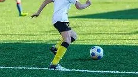 【独门秘籍】2026015期双色球号码大揭秘：龙头凤尾精准预测，必中神号23&29等你揭晓！